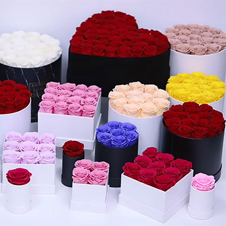 Coffret Fleur Éternelle